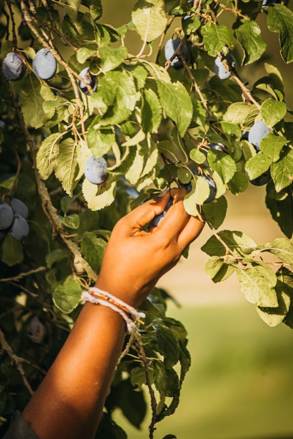 How nature can improve our health