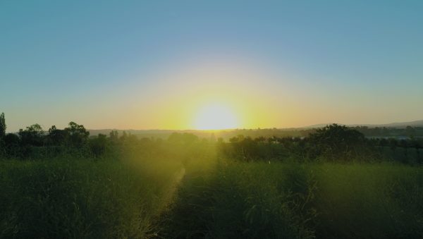 Daily Habits in Ayurveda (Dinacharya)