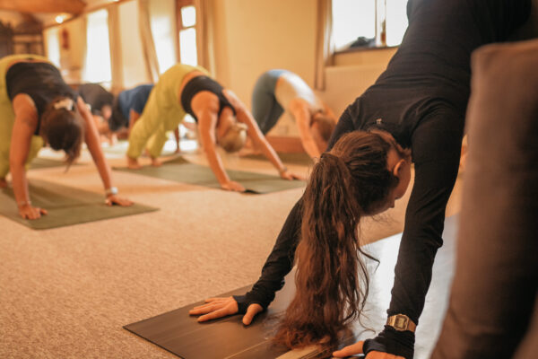 Yoga & Mindfulness